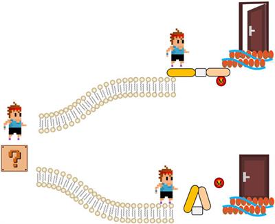 Editorial: Evolution, Emerging Functions and Structure of Actin-Binding Proteins